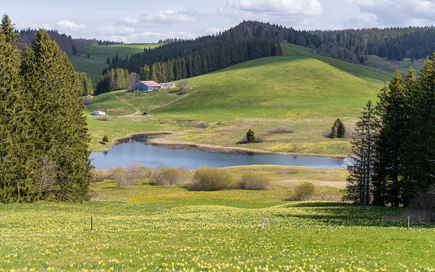 Lac de l'Embouteilleux