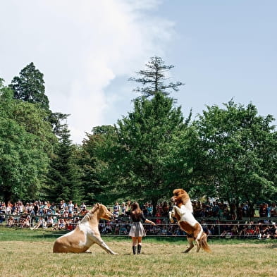 La ferme de Bozzi