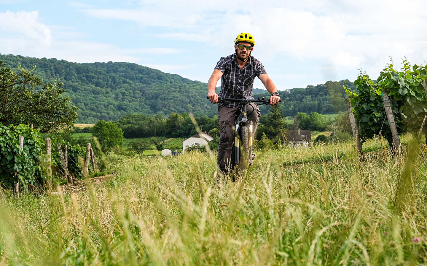 A Tour de Roues