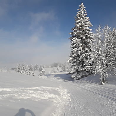 Piste de ski de fond : La Germine