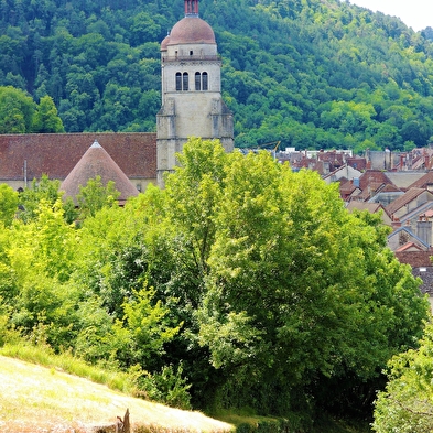 Collégiale Saint Hippolyte