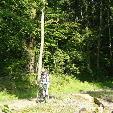 Circuit VTT-VTC n°3 (bleu) - Entre lacs et forêts