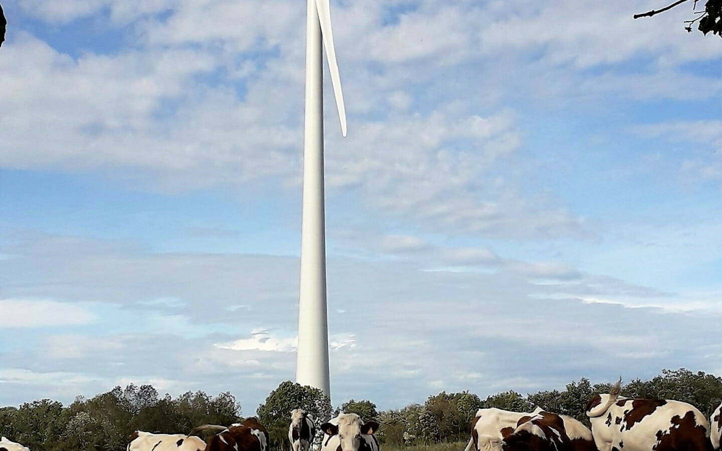 Visite guidée de l'éolienne citoyenne de Chamole