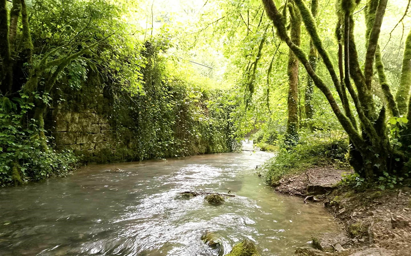 Balade et sophrologie à la Source du Lison