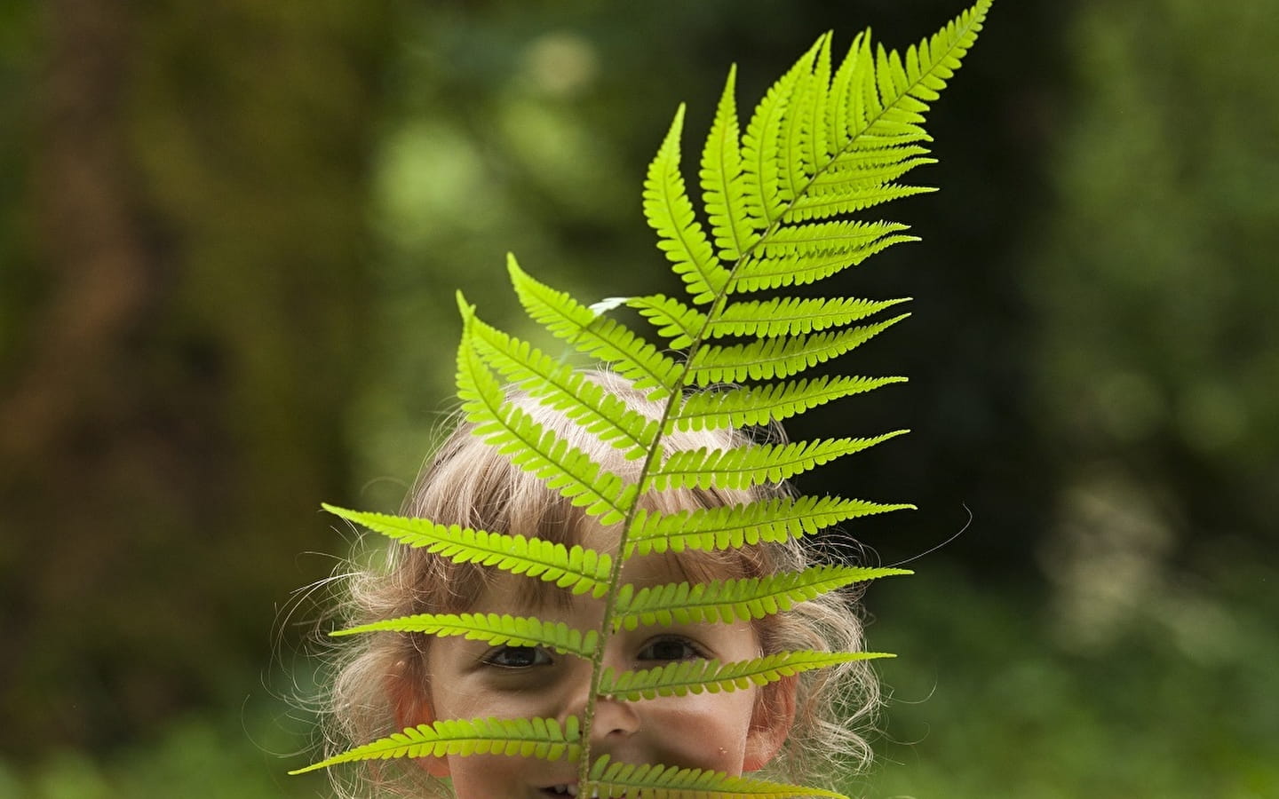 Sorties nature 'parents-enfants'