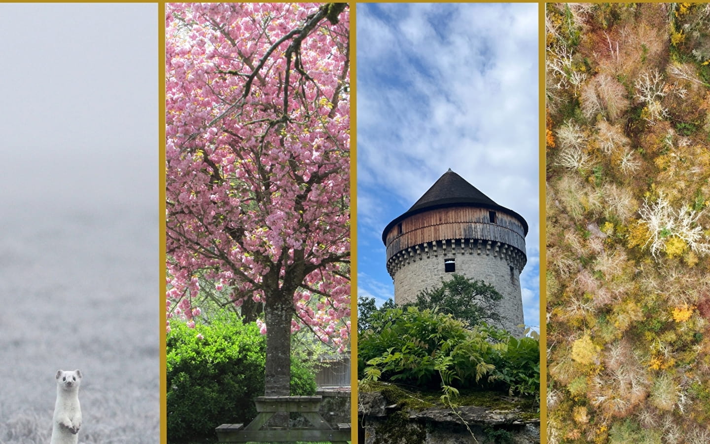 4 saisons dans le Coeur du Jura