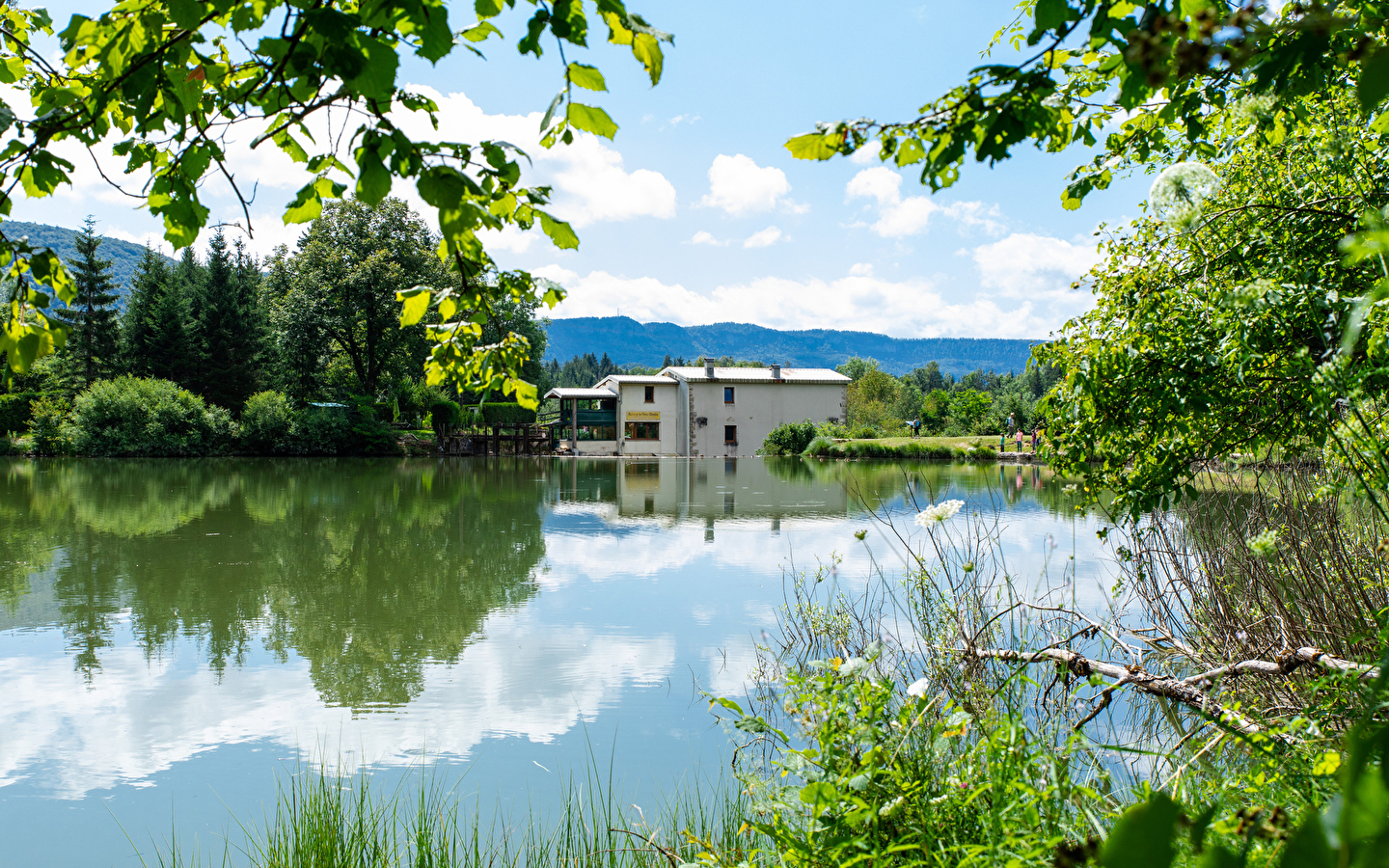 Lac de Cuttura