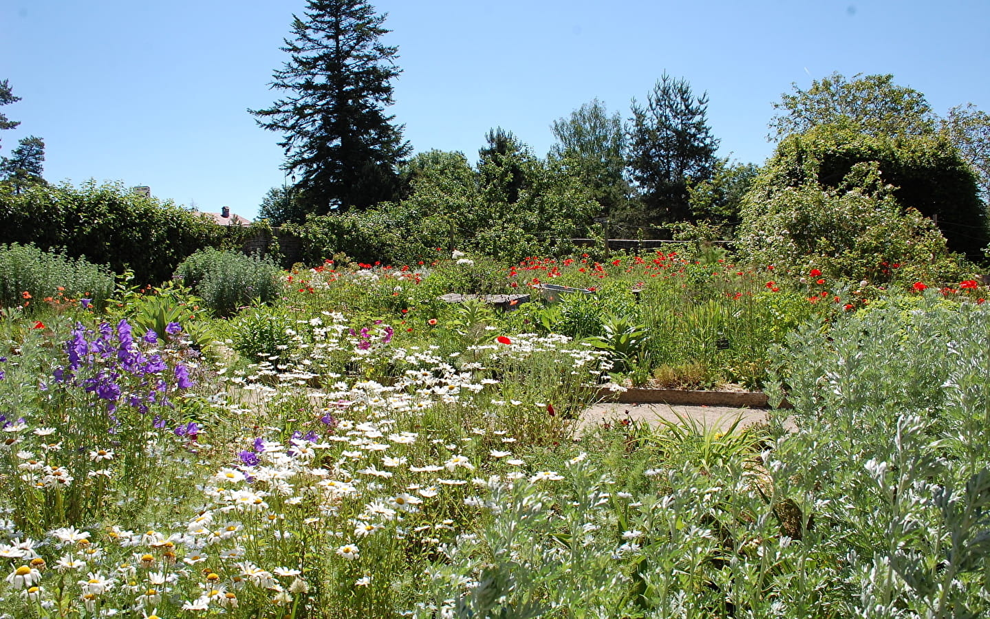 Le jardin de la Ferme Courbet à l'honneur !