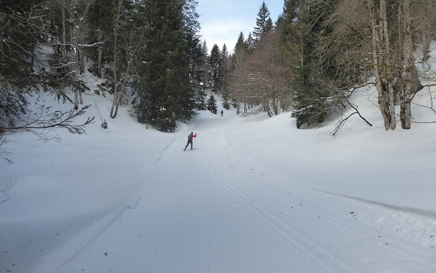 Piste de ski de fond : la Petite Grand