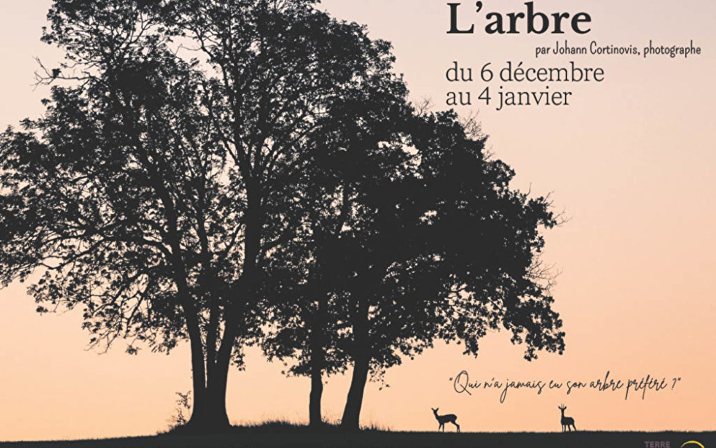 Exposition photo : l'Arbre 