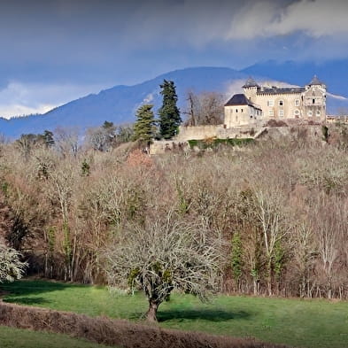 Exposition sur l'histoire du Château de Grammont