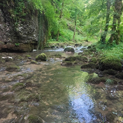 Trail de la Vallée Baumoise