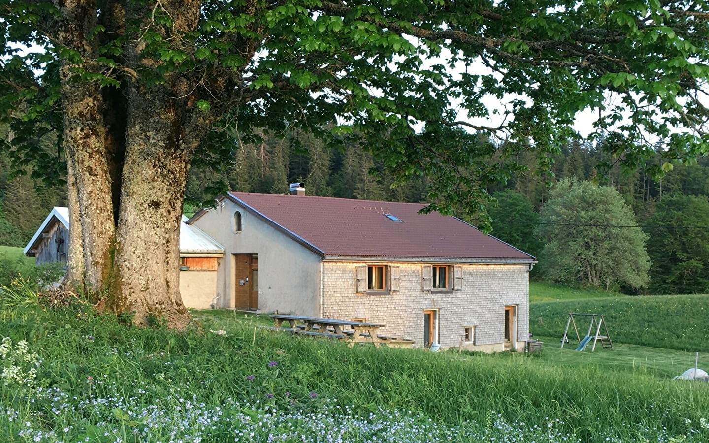 Le Cernétrou - Gîte La Petite Grange