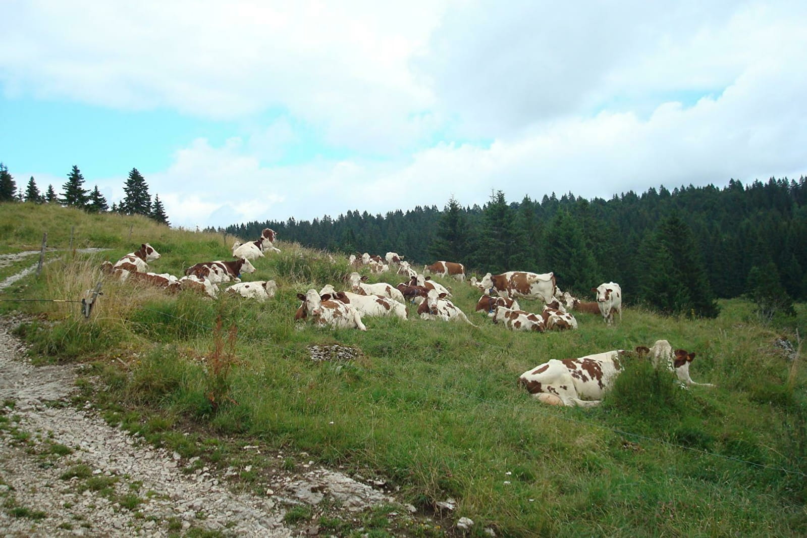 Le Crêt De Chalam | Montagnes Du Jura