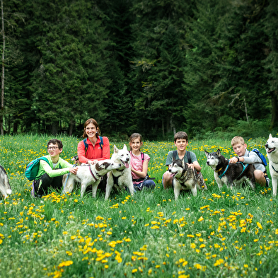 Cani-randonnée avec Nordic Indiana