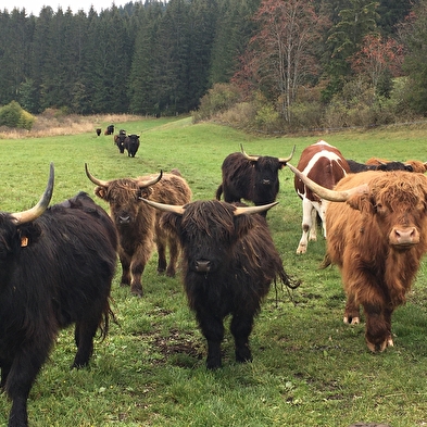 Les Tables d'Highlands