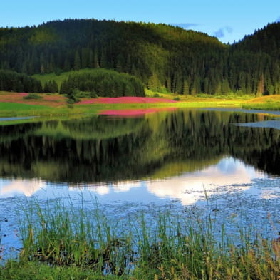 Lac de l'Embouteilleux