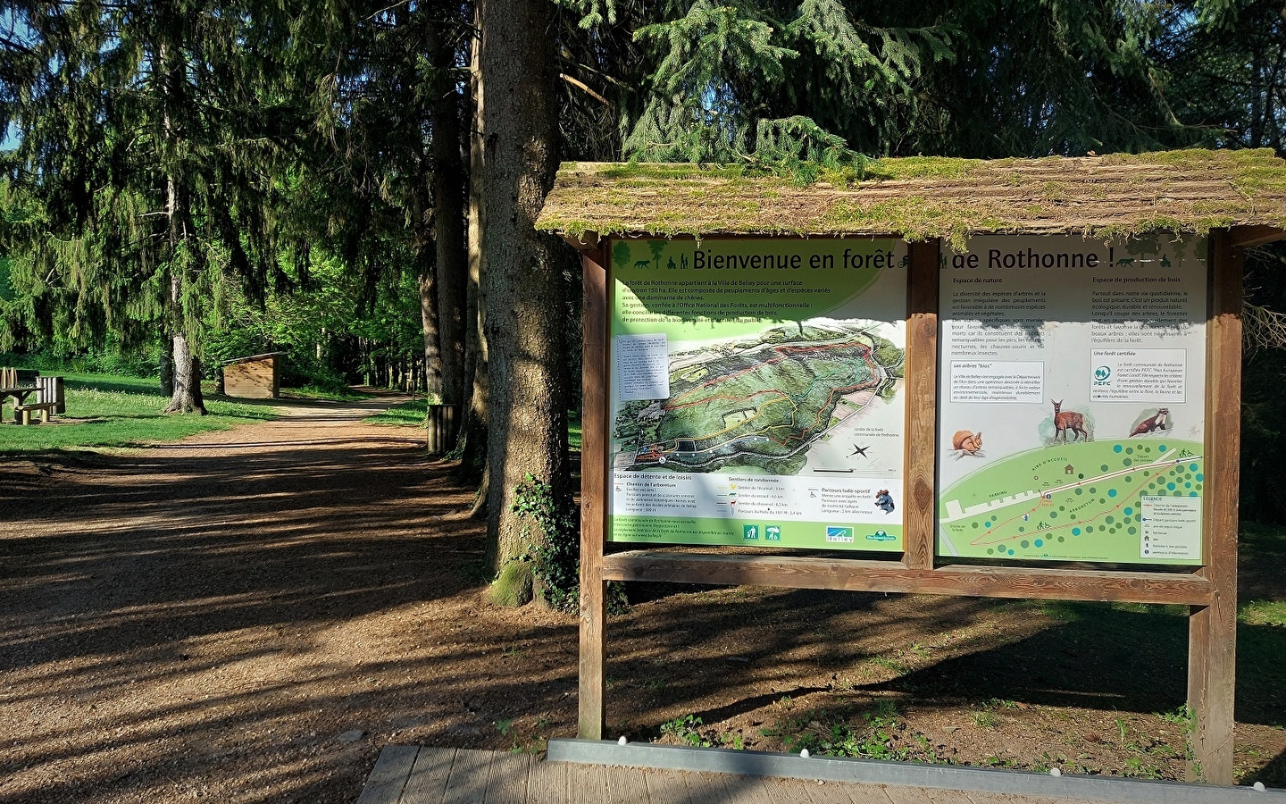 Circuits de randonnée pédestre de la forêt de Rothonne