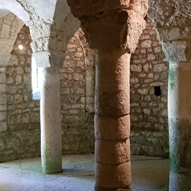 Visite commentée de la crypte et du parc de l'abbaye