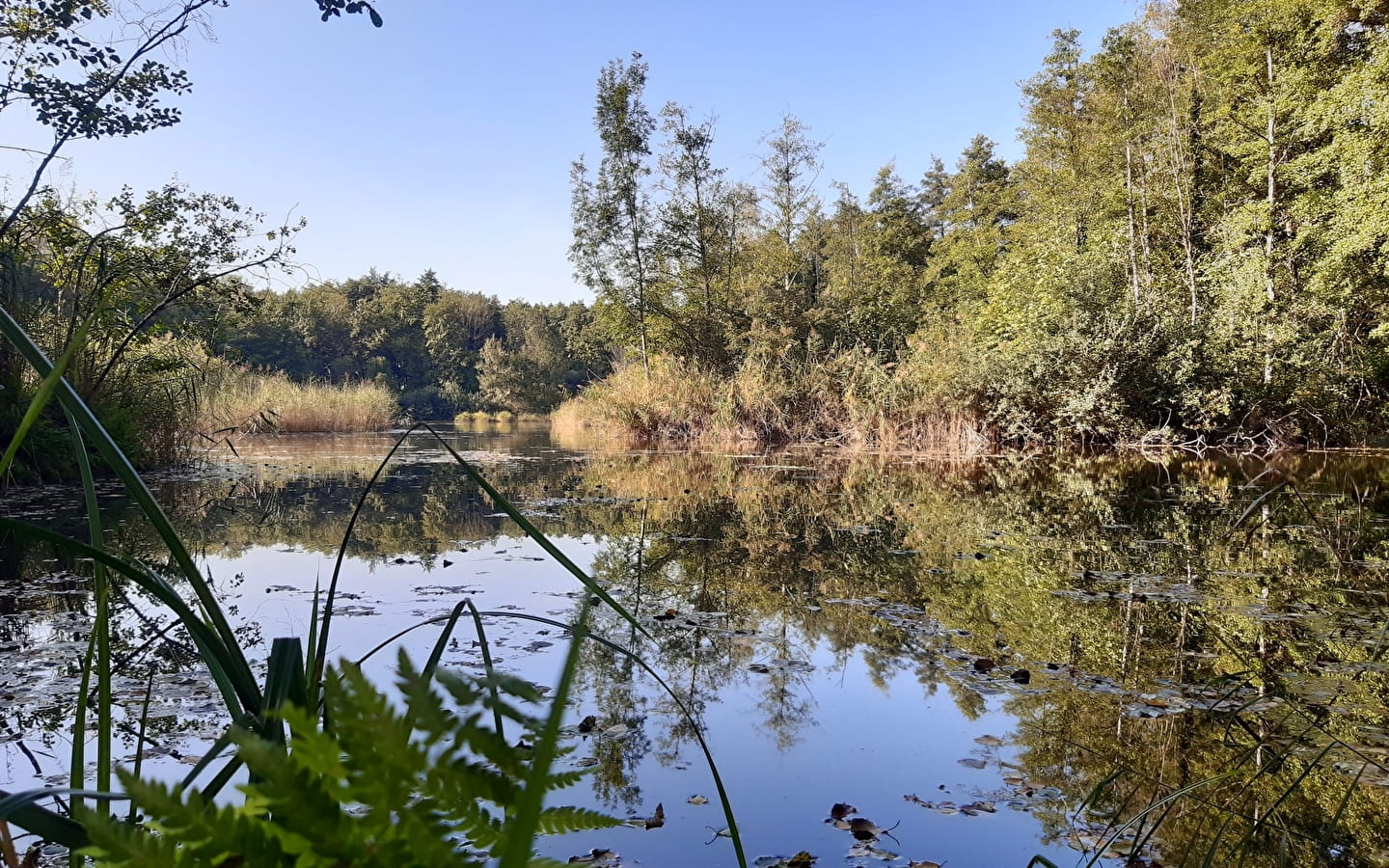 Evenement collectif 'dans les bras du Rhône'