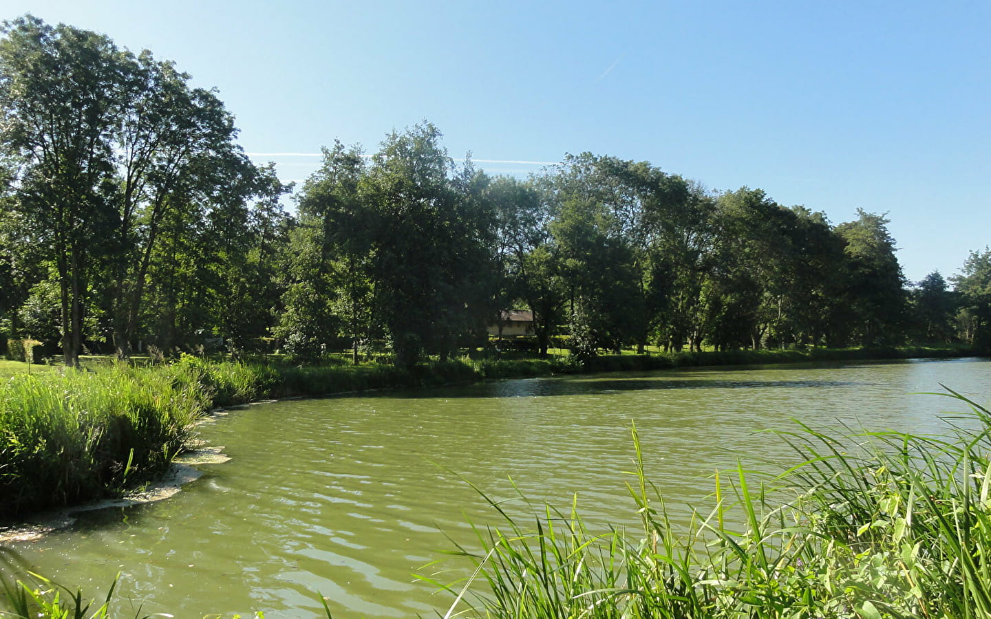 Le bocage de Cormoz - Etang de Mépillat (VTT)