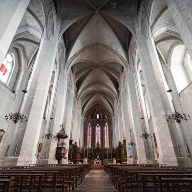 Visites famille - Cathédrale de Saint-Claude