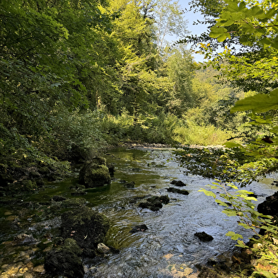 Sentier Découverte des deux sources - Val de Cusance