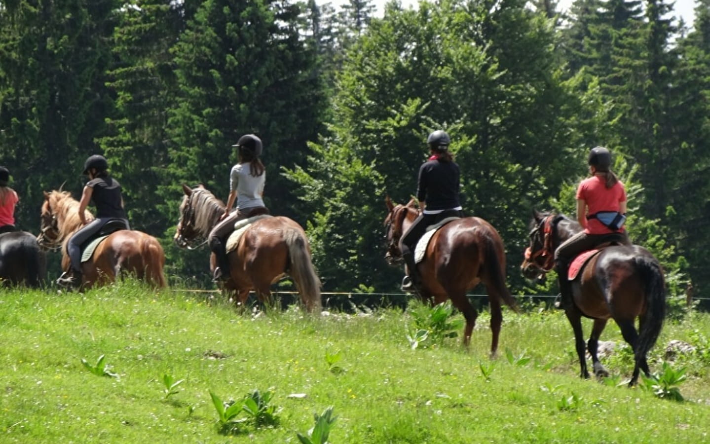 Promenade à cheval - Confirmé