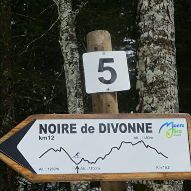 Piste de ski de fond : La Noire de Divonne