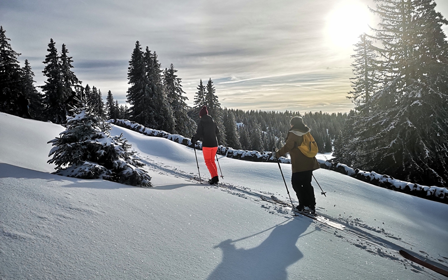 Initiation ski de randonnée nordique 