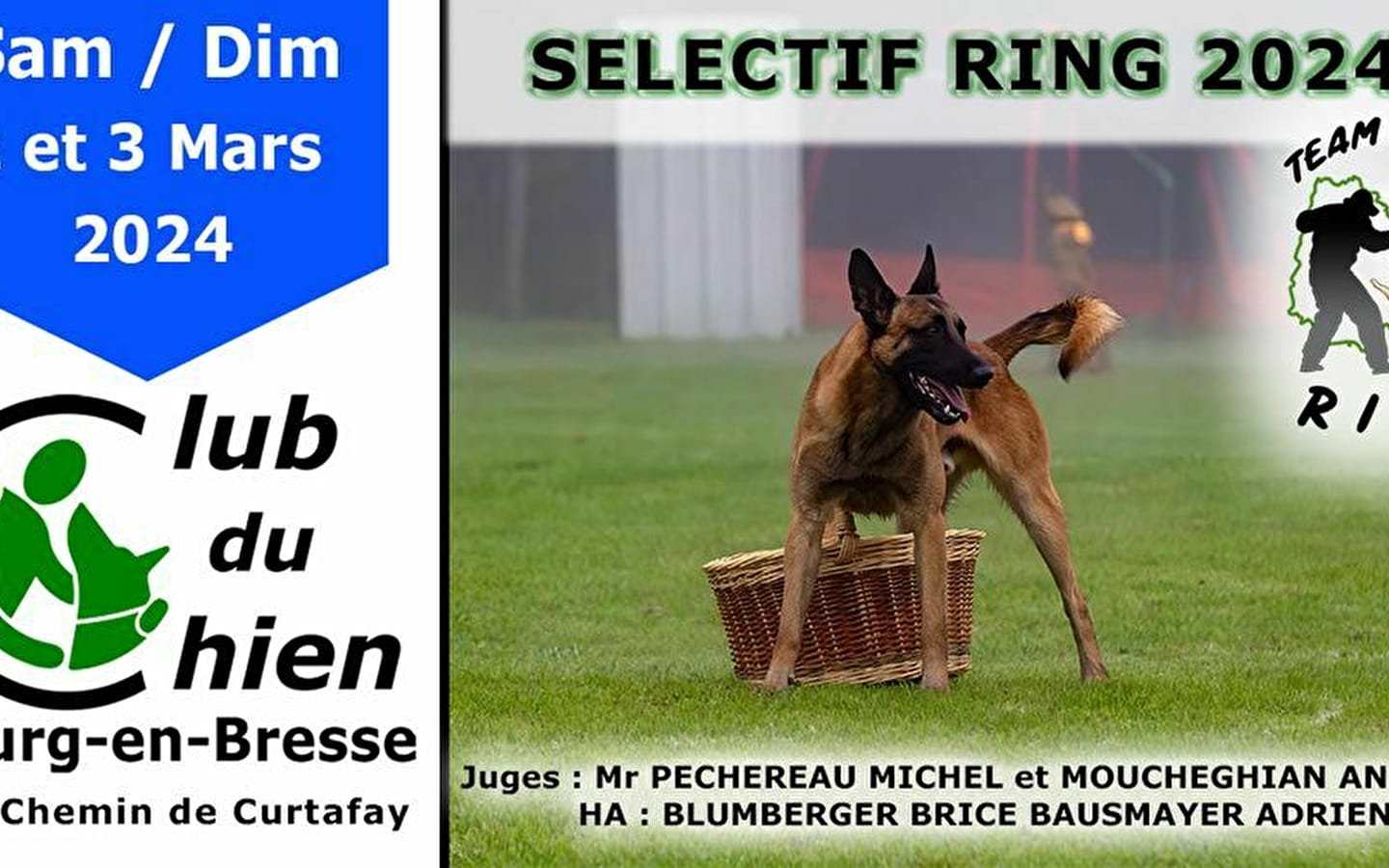 Sélectif Ring 2024