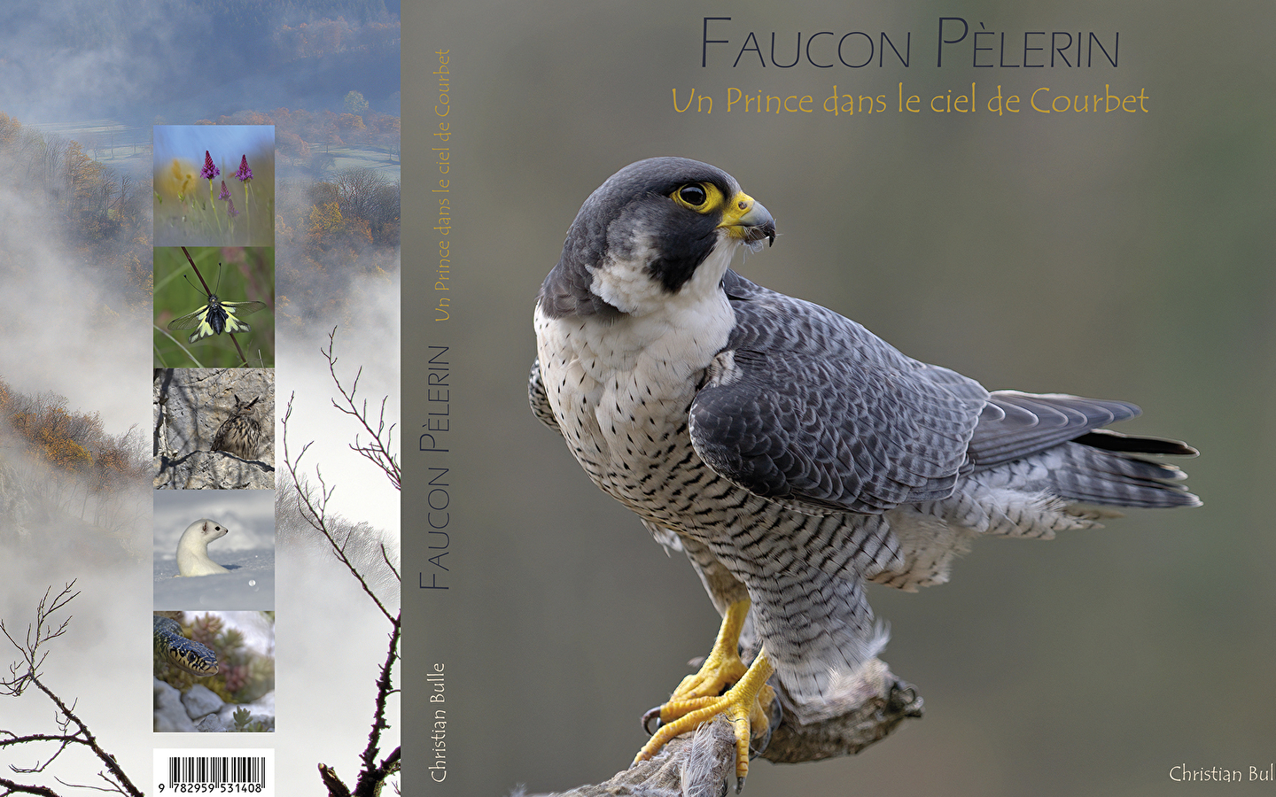 Exposition/vente photos de faune • Christian Bulle : “Entre Loue et Lison, la nature sur un plateau” - Dédicaces de livre