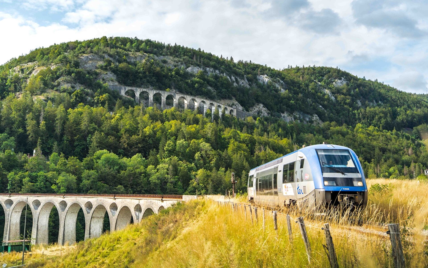 Excursion accompagnée groupes - Ligne des Hirondelles