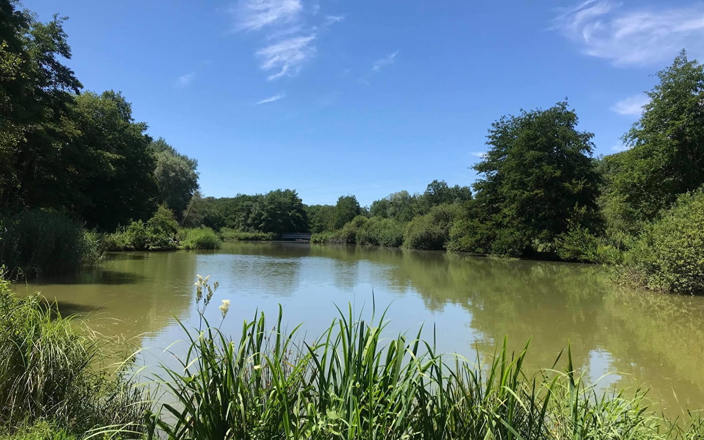 Journée Canicule au Pays de Montbéliard 