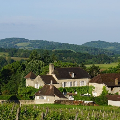 Domaine de Saint Loth'