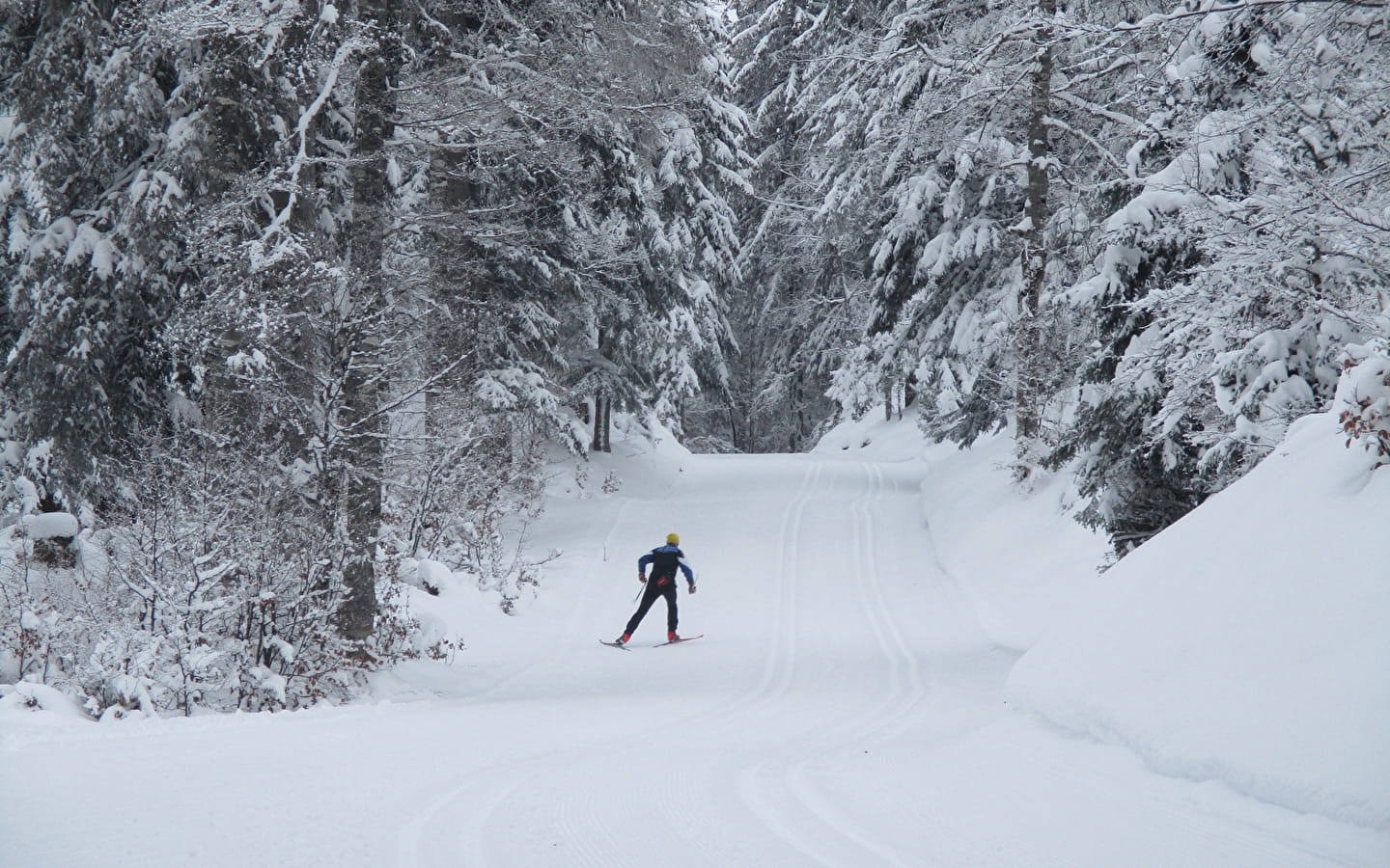 Piste de ski de fond : Les Louvatières