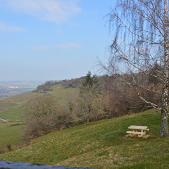 Belvedere du vignoble de Pupillin - PUPILLIN