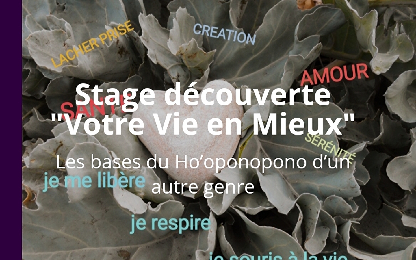 Stage 'Votre vie en mieux'