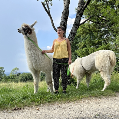 Balade avec les lamas