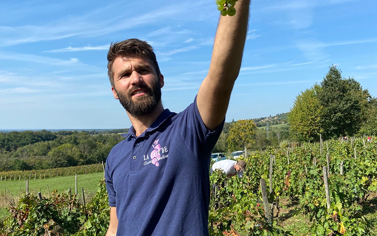 La Cave de Corentin Bouilloux - Vigneron