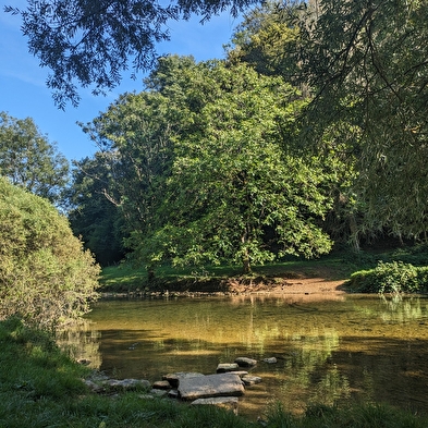 Le mont de Guillon