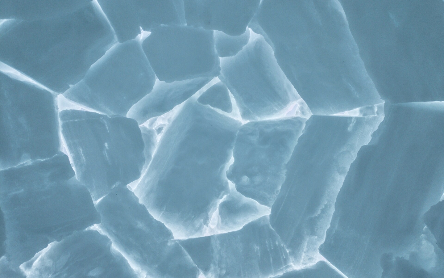 Ecole de ski du Haut-Jura - La Pesse : Randonnée Igloo Chamallow