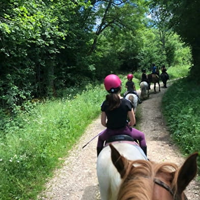 Stages et balades à cheval ou poney au Domaine équestre de la Maurinière