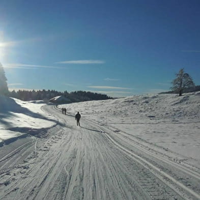 Piste de Ski de fond : La Girantette