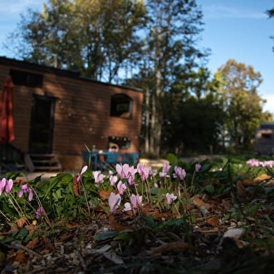 Tiny House n°2 - Le Nid Etoilé d'Augustine