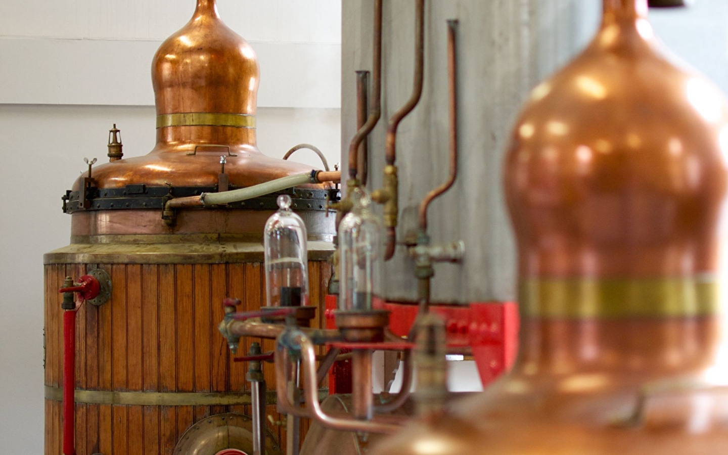 Visite - Distillerie historique d'absinthe - Les Fils d'Emile Pernot